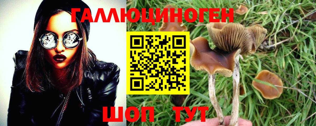 Галлюциногенные грибы Cubensis  Галлюциногенные грибы Cubensis  Орехово-Зуево  Вход с VPN 